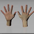 Realistic Open Hands Model Display With Detailed Fingers And Dark Background Reflection 3d model