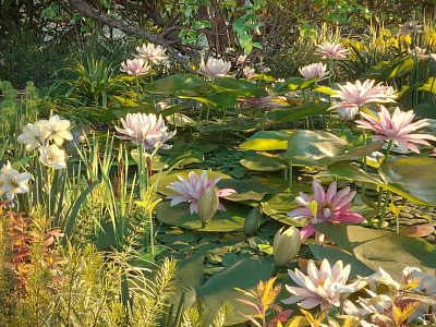 Vibrant Aquatic Plants Featuring Colorful Water Lilies And Green Lily Pads In Lush Natural Pond 3d model