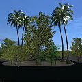 Park Landscape with Tall Palm Trees Various Green Trees Circular Area and Clear Blue Sky
