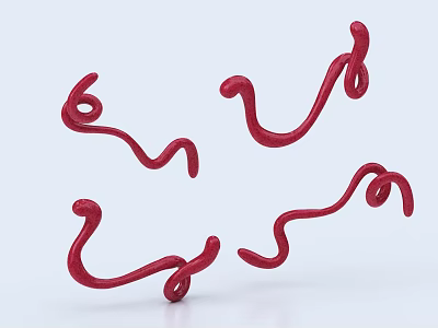 Ebola virus disease bacteria 3d model