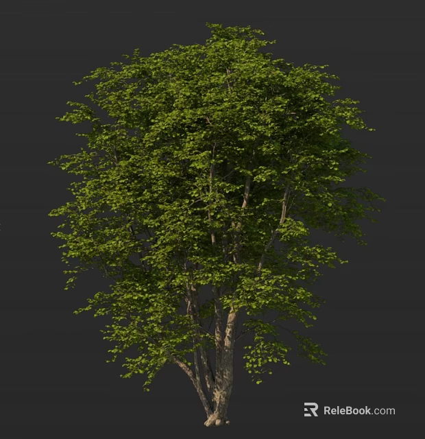 Lush Healthy Arbor With Dense Green Foliage And Strong Trunk For Garden Landscape 3d model 