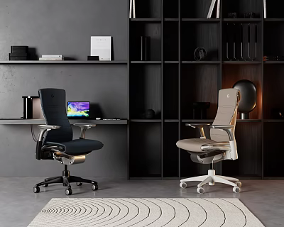 Stylish Ergonomic Office Chairs in Modern Workspace With Bookshelves Desk and Laptop 3d model