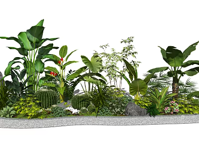 Lush Garden Ornament With Various Green Plants Large Leaves Cactus Stones And Gray Border 3d model