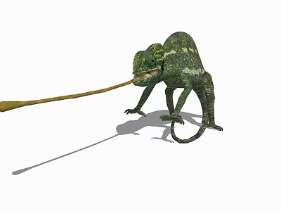 Green Chameleon Reptile Extending Its Tongue to Catch Insect Prey in Action 3d model
