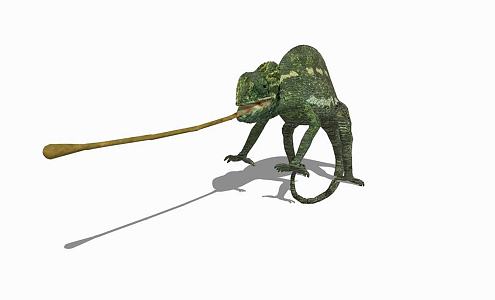 Modern chameleon animal chameleon 3d model