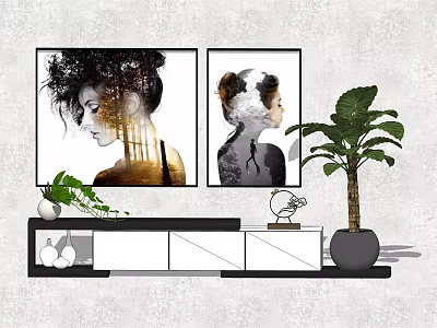 Modern TV Stand With Two Wall Paintings Potted Plant And Decorative Ornaments 3d model