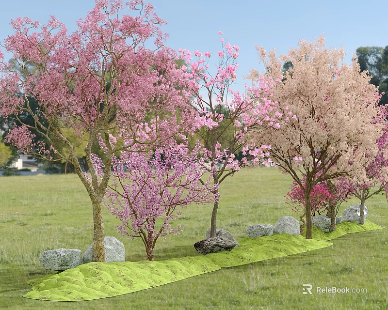 Beautiful Flowering Trees With Pink And Light Pink Blossoms In Grassy Field Surrounded By Stones 3d model 