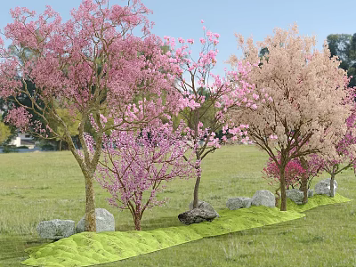 Beautiful Flowering Trees With Pink And Light Pink Blossoms In Grassy Field Surrounded By Stones 3d model