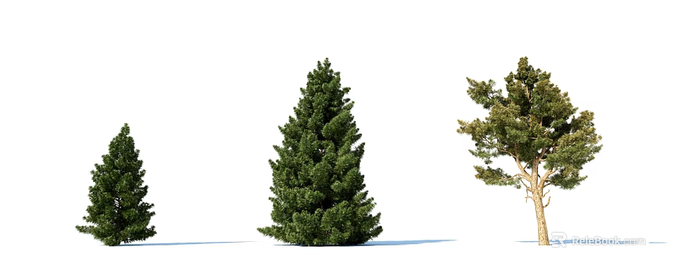 Tall Green Arbor With Another Partially Visible Tree On White Background 3d model 