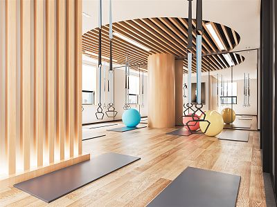 Modern Yoga Room Private Teaching Room Gym Pilates Exercise Room Yoga Mat Yoga Ball Hanging Rope Hanging Ring 3d model