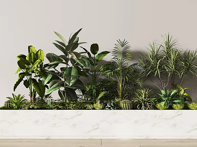 Indoor Decorative Potted Plants With Various Green Foliage On Marble Countertop 3d model