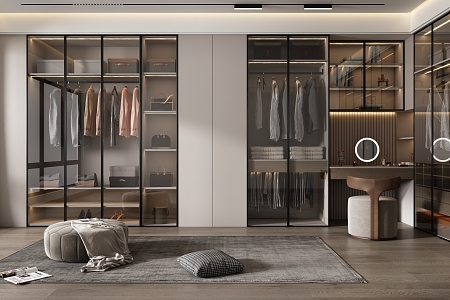 Light Luxury Cloakroom 3d model