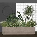 Modern Rectangular Planter with Various Green Plants Cactus and Herbs Against Textured Walls