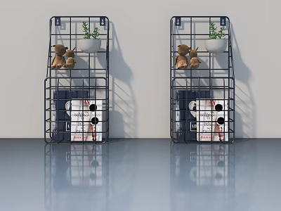 Modern Hinged Door With Metal Grid Shelves Decorative Plants And Magazines 3d model