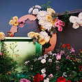 Colorful Creative Floral Display Design Featuring Mixed Flowers Greenery And Decorative Arch