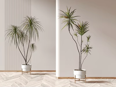 Indoor Decorative Potted Plants in White Pots with Metal Stands for Modern Home Interior 3d model