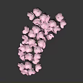 Beautiful Pink Flowers On Curved Branch With Dark Background And Reflection