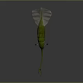 Green And White Abstract Creature Model With Long Curved Tail And Smooth Appendage