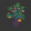 Potted Plant with Green Leaves Orange Fruits and Red Lantern Decorations in Red Pot