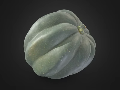 Fresh Green Pumpkin with Distinct Ribbed Texture as Healthy Organic Food Ingredient 3d model