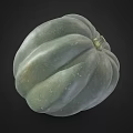 Fresh Green Pumpkin with Distinct Ribbed Texture as Healthy Organic Food Ingredient