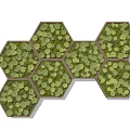 Hexagonal Green Wall With Wooden Frame Featuring Moss For Indoor Decorative Use 3d model