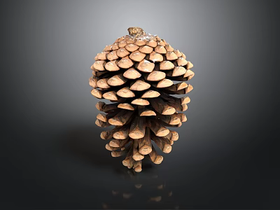 Pine Cone As Natural Edible Food With Brown Scales And Rough Surface 3d model