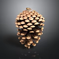 Pine Cone As Natural Edible Food With Brown Scales And Rough Surface