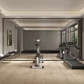 Modern Recreation Room with Treadmill Exercise Bike Large Mirror and Wall Paintings