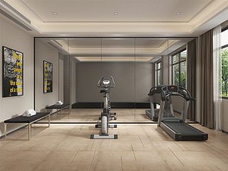 Modern Gym Home Gym Home Gym 3d model