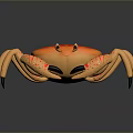 Aquatic Animal Orange Crab With Red Patterns Red Spots On Legs And Black Claws