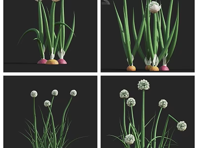 Fresh Green Vegetable with Colorful Roots White Flowers and Long Leaves 3d model