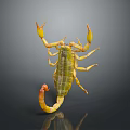 Yellow And Green Scorpion With Spread Legs On Dark Shiny Background