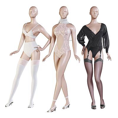Three Models Posing In Lace Lingerie Bodysuit With White And Black Stockings 3d model Three Models Posing In Lace Lingerie Bodysuit With White And Black Stockings 3d model