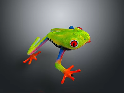 Green Frog with Red Eyes Orange Toes and Colorful Legs on Gray Background 3d model