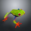 Green Frog with Red Eyes Orange Toes and Colorful Legs on Gray Background