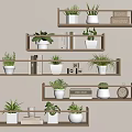 Bonsai Potted Plants Displayed on Wooden Shelves with Books and Decorative Items
