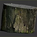 Natural Wooden Stump With Wood Stone Material Featuring Organic Grain And Green Moss Texture
