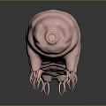 Adorable Pink Tardigrade Creature with Numerous Tiny Legs and Smooth Body Texture 3d model