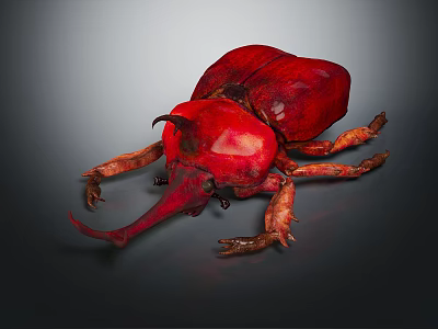 Red Beetle With Large Horns And Vibrant Shiny Exoskeleton On Dark Background 3d model