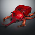 Red Beetle With Large Horns And Vibrant Shiny Exoskeleton On Dark Background