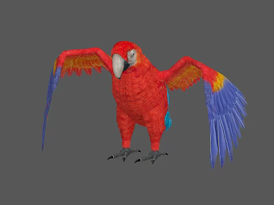 Red Parrot With Vibrant Red Feathers And Yellow Blue Spread Wings In Standing Pose 3d model