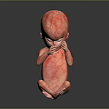 Red Fetus Model Curled Up with Hands Near Face on Black Background