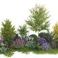 Tree Centerpiece with Various Plants Shrubs and Colorful Flowers in Garden Setting