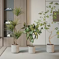 Potted Bonsai Plants With Various Greenery In Concrete Pots For Modern Indoor Decor