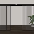 Modern Sliding Glass Doors With Black Frame Wooden Floor And Green Plant