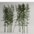 Modern Bamboo Landscape Bamboo Luohan Bamboo Xiangfei Bamboo Courtyard Bamboo Garden Forest Bamboo 3d model