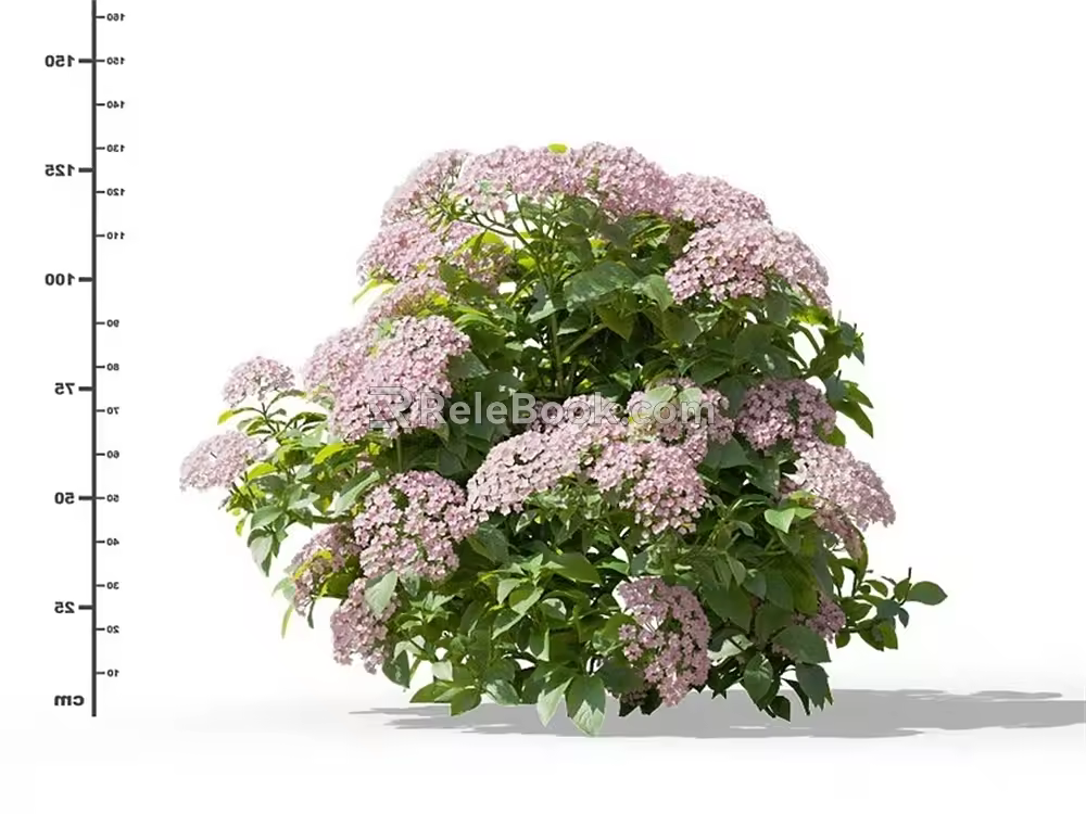 Modern Hydrangea 3d model