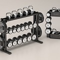 Fitness Equipment Dumbbell Kettlebell Yoga Ball Fitness Equipment Storage Rack 3d model