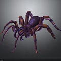 Copper Colored Spider With Eight Legs Shiny Appearance Dark Background Reflections